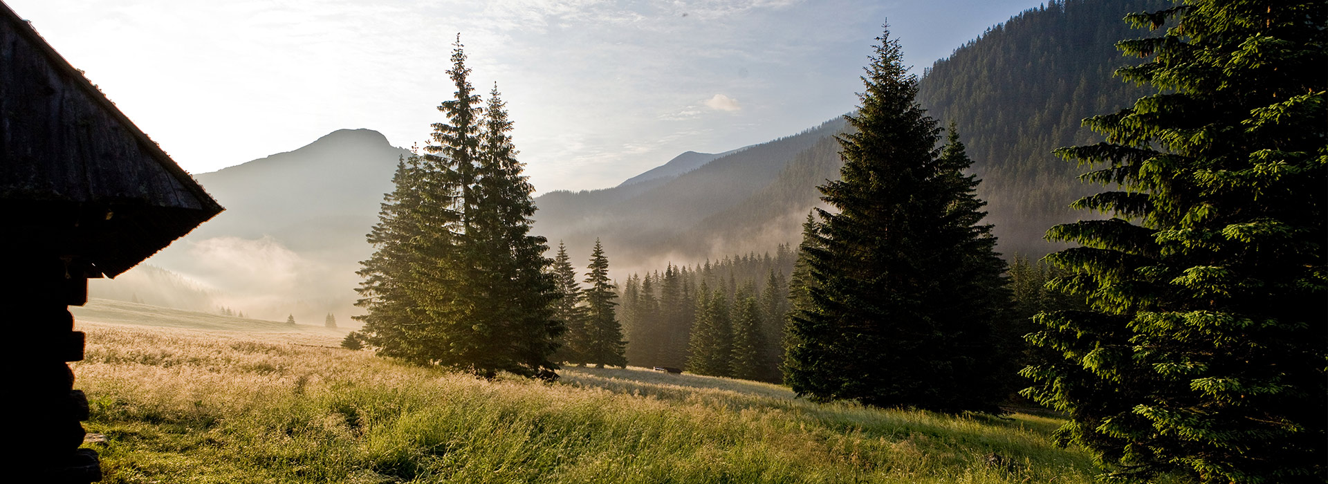 فندق Białka Tatrzańska الإقامة في الجبال مطعم SPA جبال العافية جبال تاترا بولندا